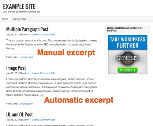 wordpress-manual-vs-auto-excerpt