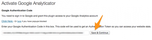 Paste the code into the box and click Save & Continue