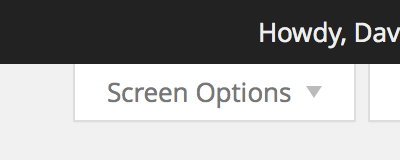 Customize your work area with Screen Options